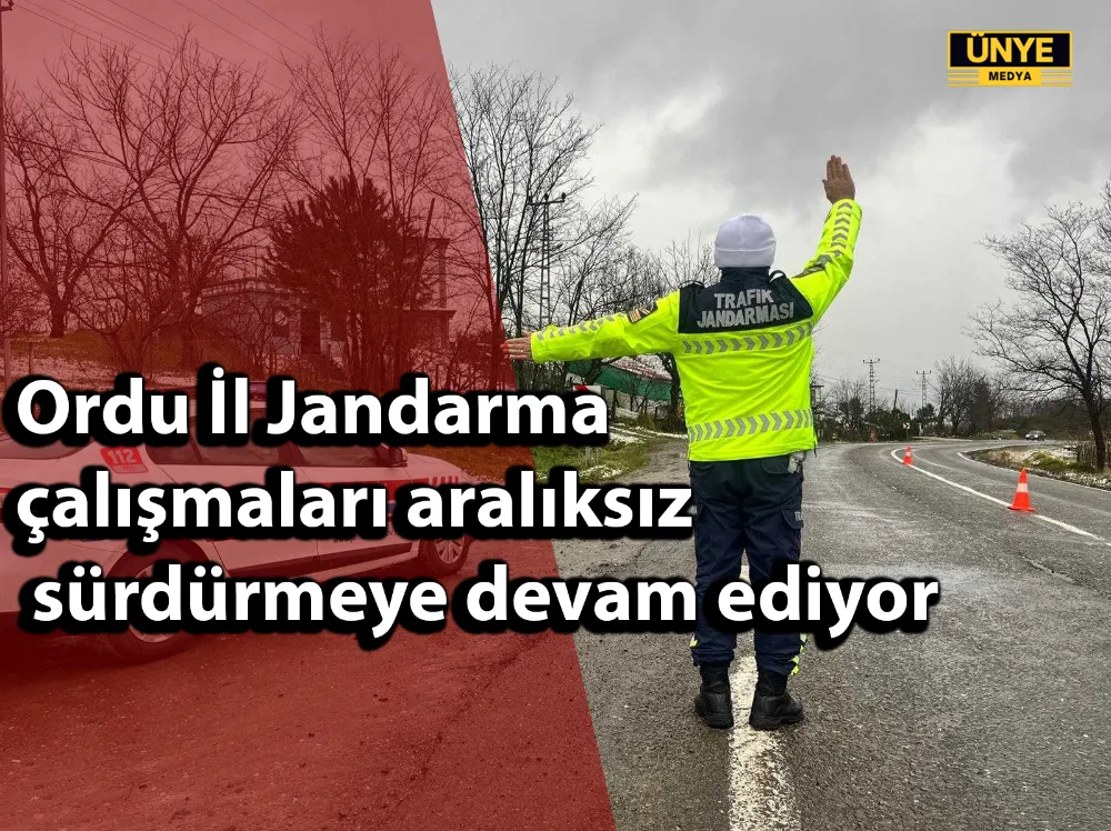 Ordu İl Jandarma çalışmaları aralıksız sürdürmeye devam ediyor