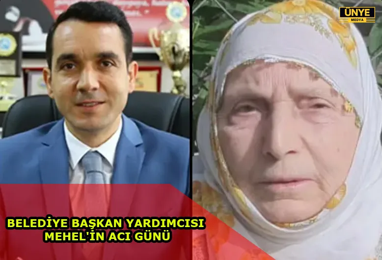 BELEDİYE BAŞKAN YARDIMCISI MEHEL