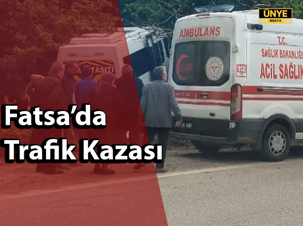 Fatsa’da Trafik Kazası: Virajı alamayan minibüs kontrolden çıkarak fındık bahçesine girdi