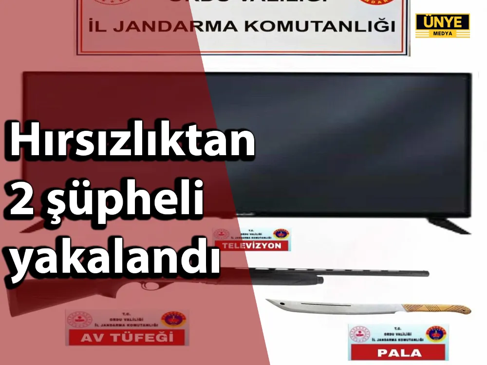 Hırsızlıktan 2 şüpheli yakalandı
