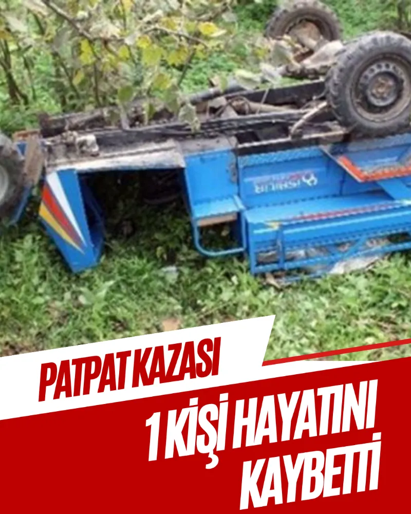 PATPAT BİR CAN DAHA ALDI