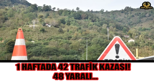 1 HAFTADA 42 TRAFİK KAZASI! 48 YARALI…