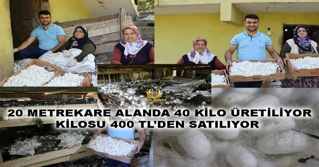 20 METREKARE ALANDA 40 KİLO ÜRETİLİYOR KİLOSU 400 TL’DEN SATILIYOR