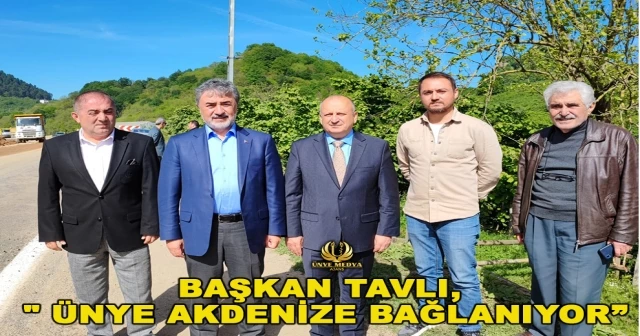 BAŞKAN TAVLI, 