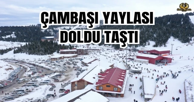 ÇAMBAŞI YAYLASI DOLDU TAŞTI