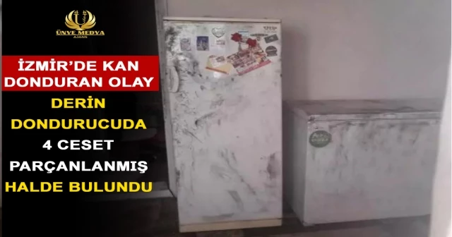 DERİN DONDURUCUDA 4 CESET PARÇANLANMIŞ HALDE BULUNDU