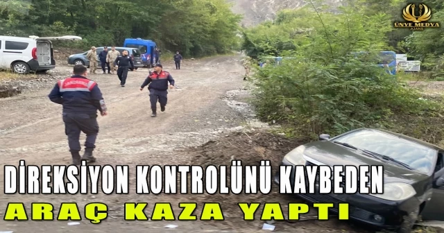 DİREKSİYON KONTROLÜNÜ KAYBEDEN ARAÇ KAZA YAPTI
