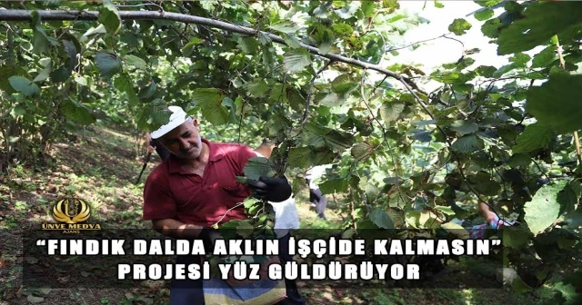 “FINDIK DALDA AKLIN İŞÇİDE KALMASIN” PROJESİ YÜZ GÜLDÜRÜYOR