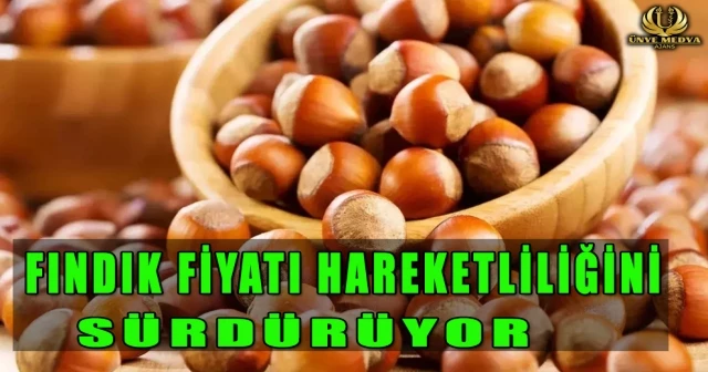 FINDIK FİYATI HAREKETLİLİĞİNİ SÜRDÜRÜYOR