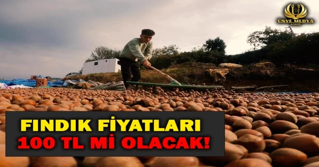FINDIK FİYATLARI 100 TL Mİ OLACAK!