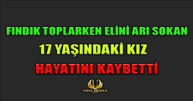 FINDIK TOPLARKEN ELİNİ ARI SOKAN 17 YAŞINDAKİ KIZ HAYATINI KAYBETTİ