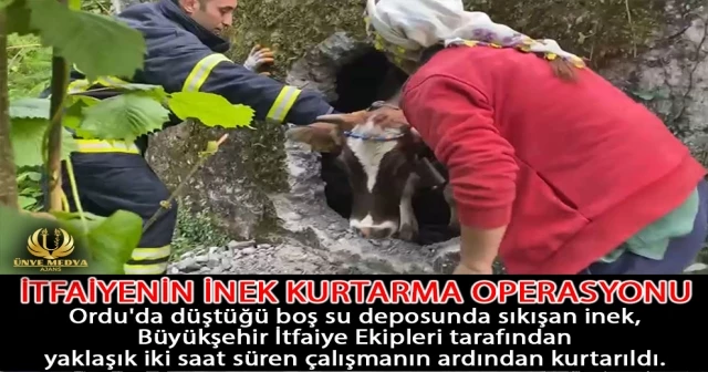 İTFAİYENİN İNEK KURTARMA OPERASYONU