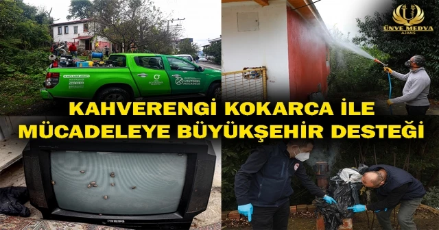 KAHVERENGİ KOKARCA İLE MÜCADELEYE BÜYÜKŞEHİR DESTEĞİ