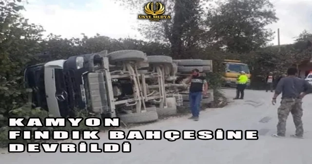 KAMYON FINDIK BAHÇESİNE DEVRİLDİ