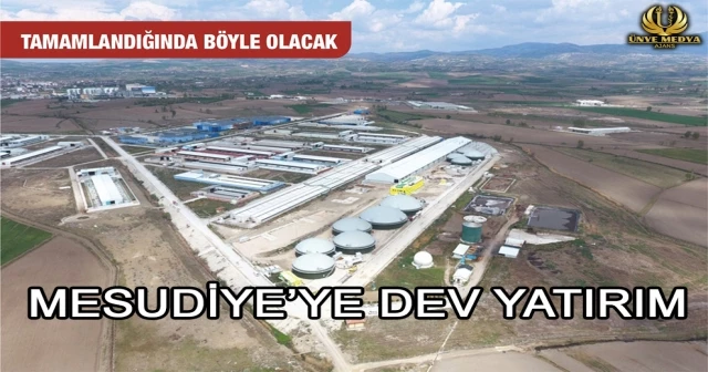 MESUDİYE’YE DEV YATIRIM