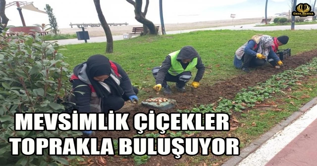 MEVSİMLİK ÇİÇEKLER TOPRAKLA BULUŞUYOR