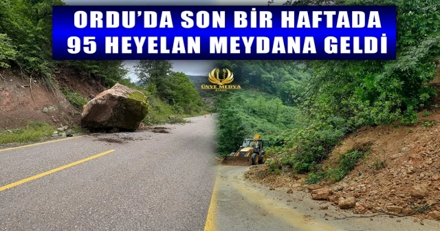 ORDU’DA SON BİR HAFTADA 95 HEYELAN MEYDANA GELDİ