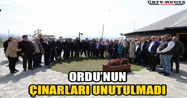 ORDU’NUN ÇINARLARI UNUTULMADI
