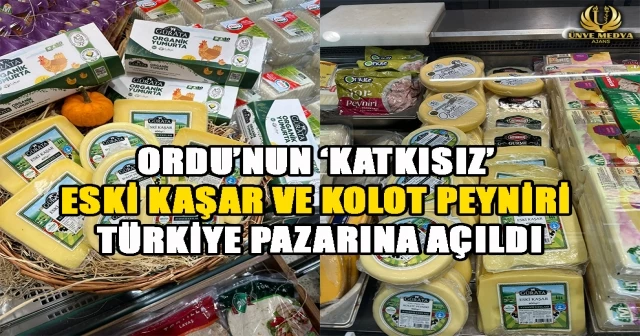 ORDU’NUN ‘KATKISIZ’ ESKİ KAŞAR VE KOLOT PEYNİRİ TÜRKİYE PAZARINA AÇILDI