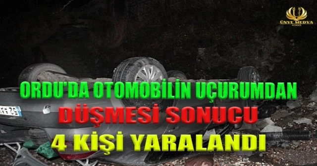 OTOMOBİL UÇURUMDAN DÜŞTÜ 4 KİŞİ YARALANDI