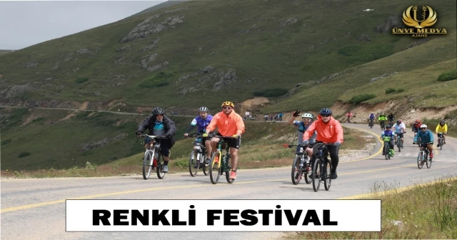 RENKLİ FESTİVAL