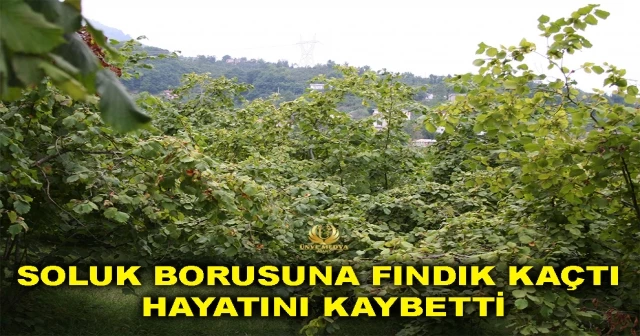 SOLUK BORUSUNA FINDIK KAÇTI HAYATINI KAYBETTİ