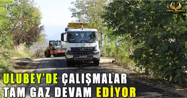 ULUBEY’DE ÇALIŞMALAR TAM GAZ DEVAM EDİYOR