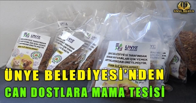 ÜNYE BELEDİYESİ’NDEN CAN DOSTLARA MAMA TESİSİ