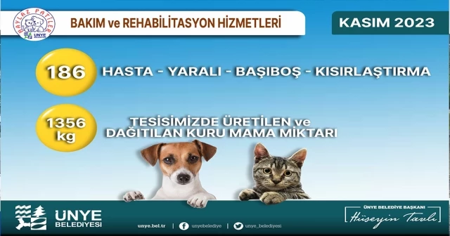 ÜNYE BELEDİYESİ’NDEN SOKAK HAYVANLARINA MAMA DESTEĞİ
