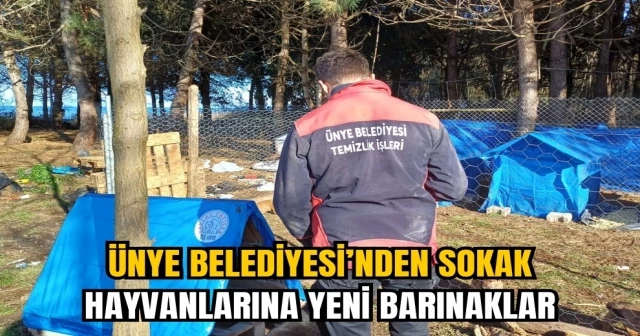 ÜNYE BELEDİYESİ’NDEN SOKAK HAYVANLARINA YENİ BARINAKLAR