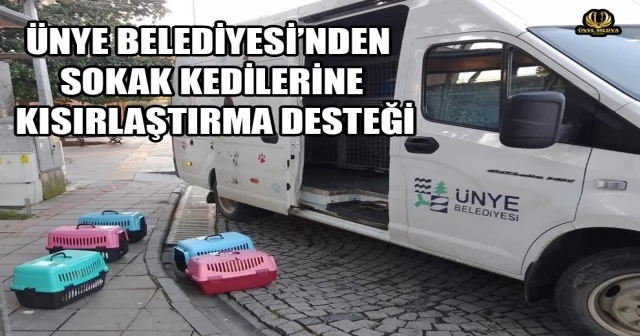 ÜNYE BELEDİYESİ’NDEN SOKAK KEDİLERİNE KISIRLAŞTIRMA DESTEĞİ