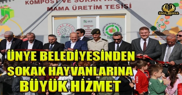 ÜNYE BELEDİYESİNDEN SOKAK HAYVANLARINA BÜYÜK HİZMET