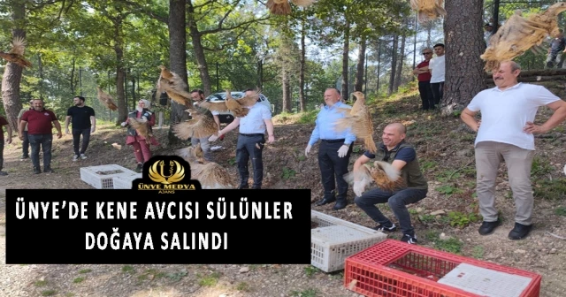 ÜNYE’DE KENE AVCISI SÜLÜNLER DOĞAYA SALINDI