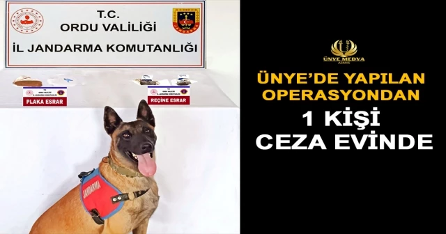 ÜNYE’DE YAPILAN OPERASYONDAN 1 KİŞİ CEZA EVİNDE