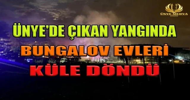 ÜNYE