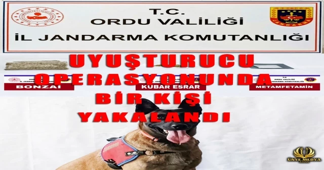 UYUŞTURUCU OPERASYONUNDA BİR KİŞİ YAKALANDI