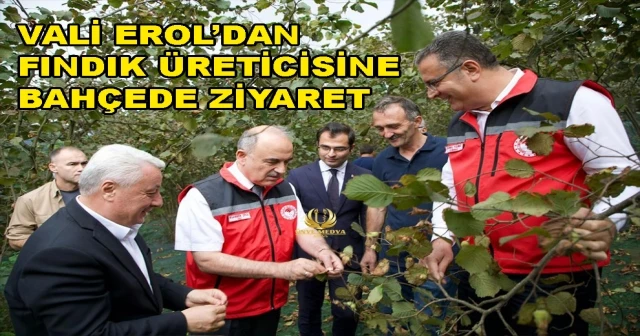 VALİ EROL’DAN FINDIK ÜRETİCİSİNE BAHÇEDE ZİYARET