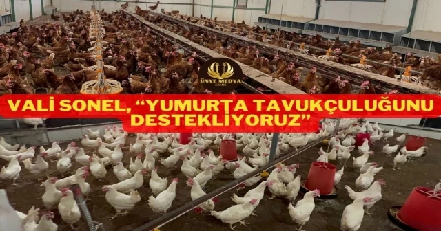 VALİ SONEL, “YUMURTA TAVUKÇULUĞUNU DESTEKLİYORUZ”