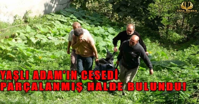 YAŞLI ADAM’IN CESEDİ PARÇALANMIŞ HALDE BULUNDU!