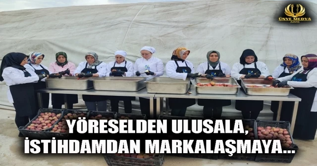 YÖRESELDEN ULUSALA, İSTİHDAMDAN MARKALAŞMAYA…